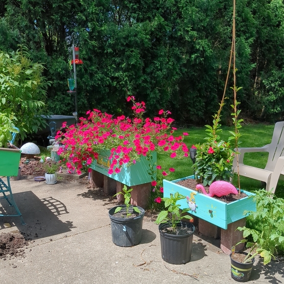 Meet the Posher! Poshing with Passion & Purpose💜 - Picture 3 of 7